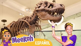 El Dinosaurio de Meekah  ¡Hola Meekah!Amigos de Blippi | Videos educativos