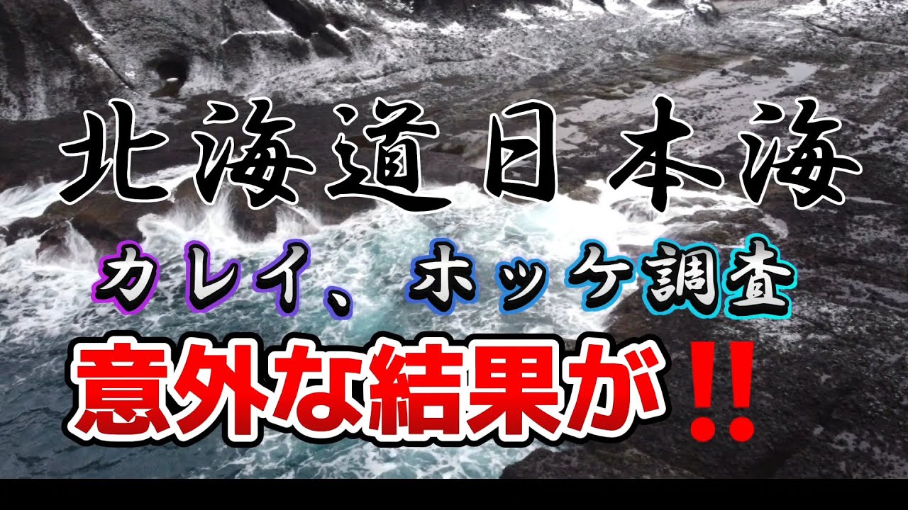 【北海道】【釣り】カレイ、ホッケ調査‼️