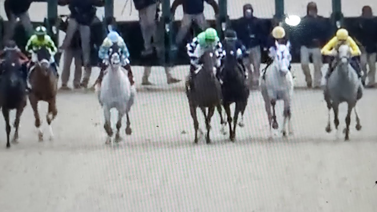 R10 - Галфстрим-парк, США, 15 января 2026 г.