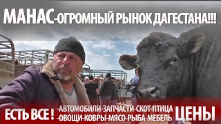 МАНАС-ТАКОГО БАЗАРА ВЫ ТОЧНО НЕ ВИДЕЛИ! САМЫЙ ДЕШЕВЫЙ И БОЛЬШОЙ РЫНОК ДАГЕСТАНА! ОТ АВТО ДО ЦЫПЛЯТ!