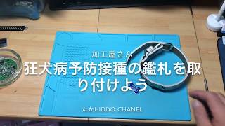 愛犬の首輪に鑑札を付けてみよう！