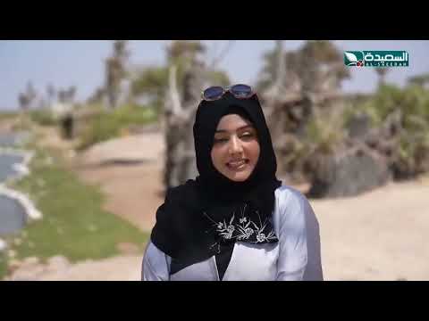 في فقرة 3 × 3 ما هو البابون في محمية برع، اليمن، طائر السعيدة7