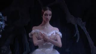 (3/7) Giselle is changed into a Willi | Ratmansky's GISELLE Resimi