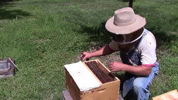 How I install a hive top feeder on a resource hive