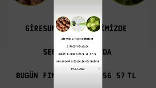 Giresun Ve İlçelerimizde Serbest P. Bugün Fındık Fiyatı 56 57 Tl Aralığında Değişiklik Gösteriyor