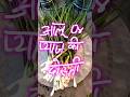 Organic Onion & Potato Recipe from Indian Mountains | Summer Farming to FoodJourney #OrganicFarming