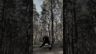 Каждый день лучшая версия себя вчерашнего. Идешь и делаешь #discipline #sports #motivation