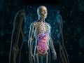 What If You Drank Parasite-Infested Water. #shorts