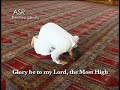 [Video] Islamic Prayer Guide (Turorial Sholat)