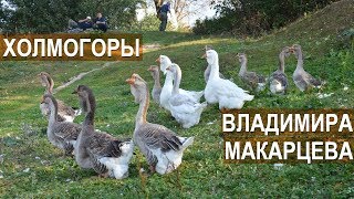 :    
