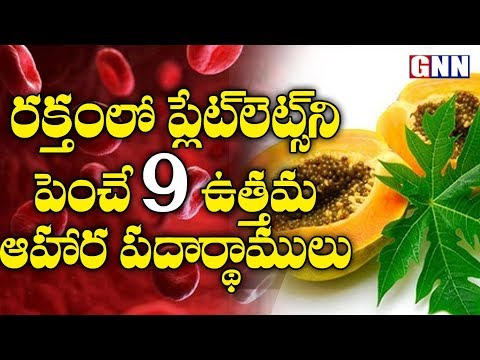 9 Foods That Increase Blood Platelets Count Naturally | Health Tips | GNN TV TELUGU