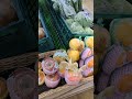 うおとみ小金井店　リフレッシュオープン（小山市）