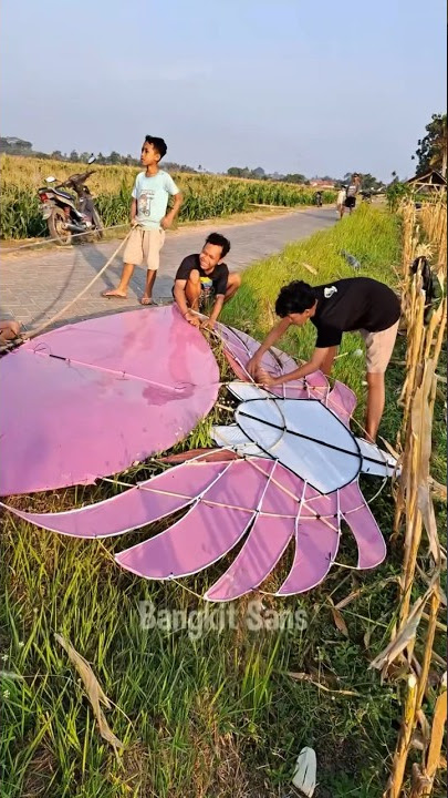 Layangan jumbo gapangan ram raman #shorts #layangan #komedi #jumbo #gapangan #drama #viral #lucu