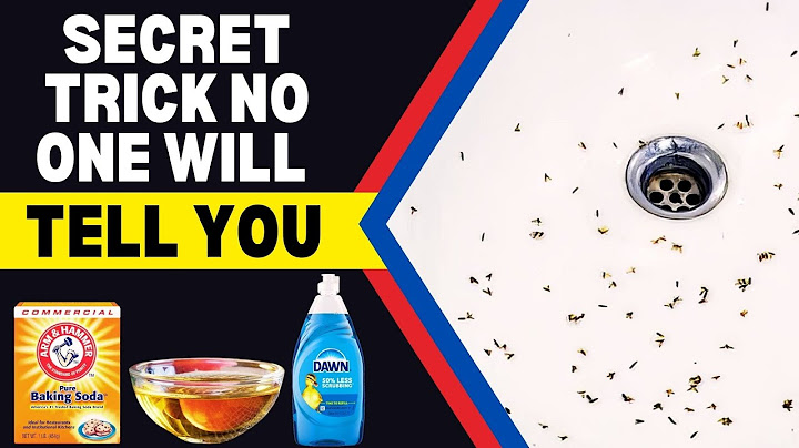 💦 Sink FULL of Drain Flies? Try THIS Easy Trick! ✅
