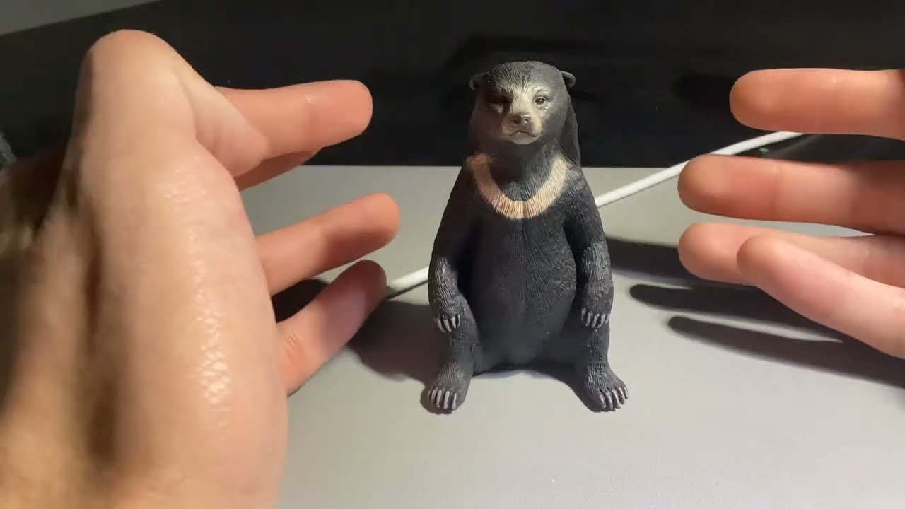 Mojö Fun Sun Bear Review