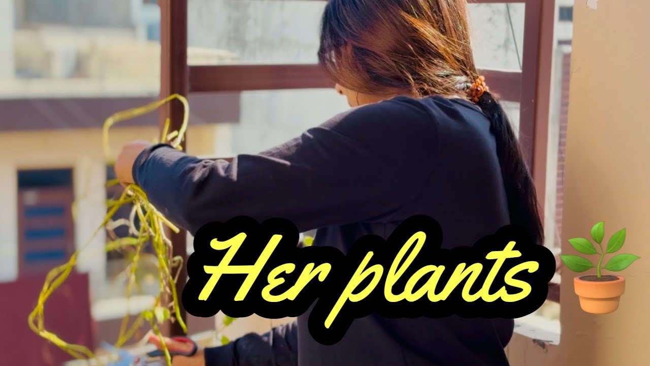 Her plants 🪴 || Soumi And Her Plants || She made Lau Shukto today 