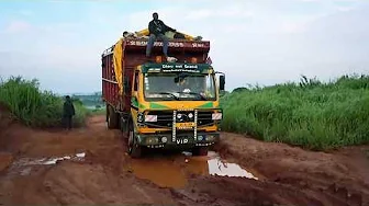 Nola-Bangui, the trail of all dangers!