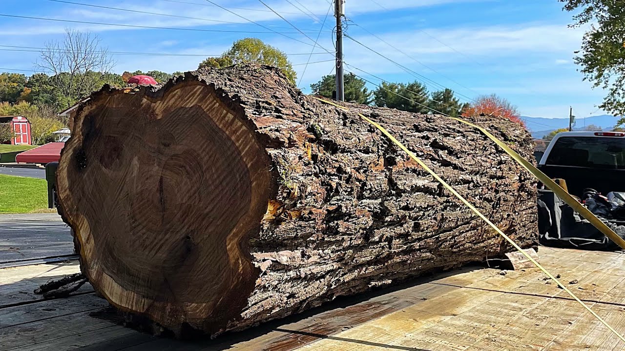Посмотрите, что появилось на моей лесопилке!