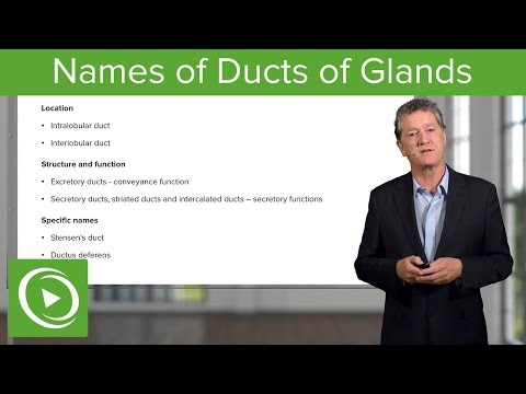 Video: Care se numesc glandele) care aliniază marginea capacului?