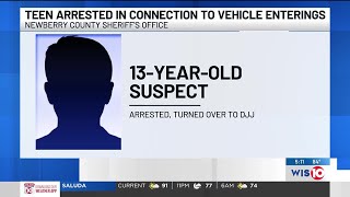 Newberry teen arrested for multiple vehicle break-ins, deputies say