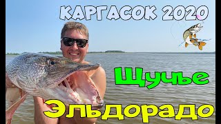 Каргасок 2020 | Рыбалка | Щука 10 200