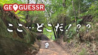 【GeoGuessr】子パンダと世界旅行✈🐼【ちゃむ/Vtuber】