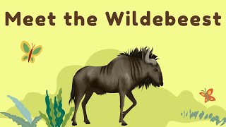 Meet the Wildebeest: The Great Migrator of the Savannah! #educationalvideo  #wilderness #wildebeest
