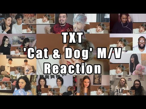 TXT (투모로우바이투게더) 'Cat & Dog' Official MV "Reaction Mashup"