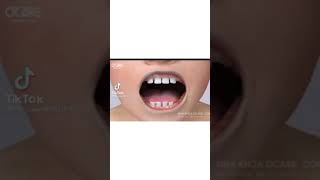 مراحل بزوغ الأسنان عند الاطفال