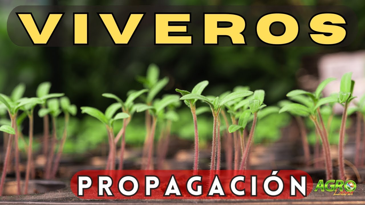 VIVEROS Métodos de Propagación - YouTube