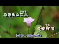 A06-514 津軽の花