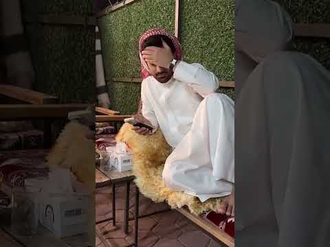 سنابات جسار المري مع فراج قزيع السهلي
