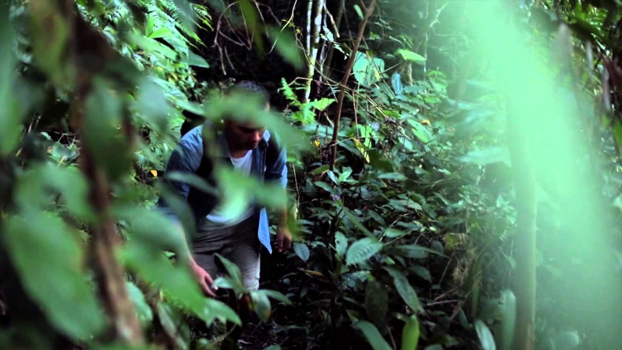 Bucket List Nicholas Saputra 2014 (I am MAGnificent)