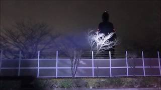 Ushiku Daibutsu at midnight （Ibaraki,Japan) 深夜の牛久大仏