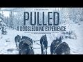 Pulled - A Dog Sledding Experience