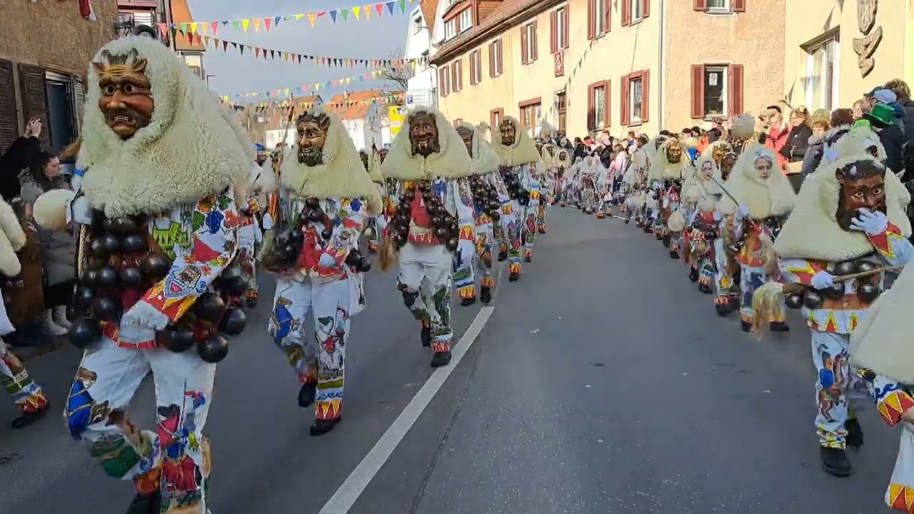 Narrenzunft Rottenburg