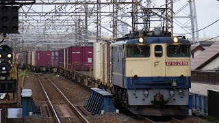【15両目にレアコン有り!】74レ EF65-2088+コキ20両 南越谷通過