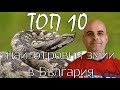 ТОП 10 Най-отровни змии в България