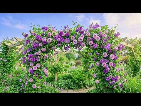 (No Ads) Soft Garden Serenity ✨🌿 • Relaxing Piano & Peaceful Nature Ambience