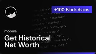 Get Wallet Historical Net Worth Across Ethereum, Solana, BNB, Base & More | Mobula API