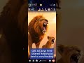 full chass hosting on yalla ludo#darwaza #yallaludo #foryoupage #tren...