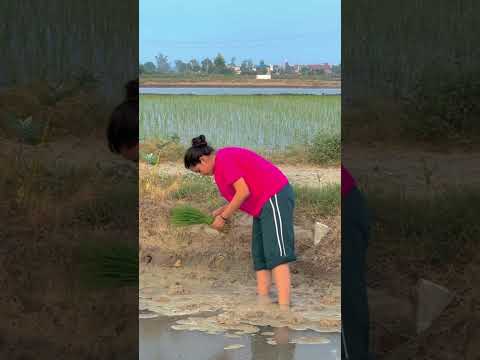Kisse ki nigah