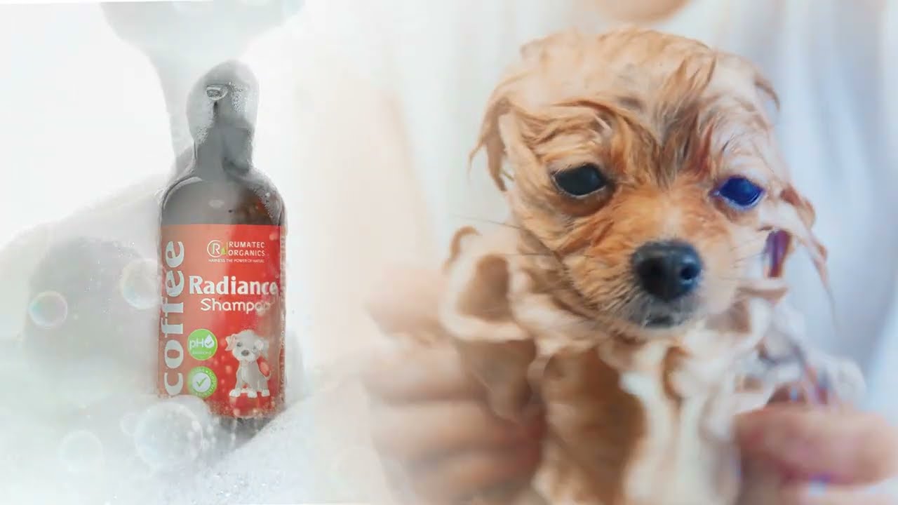 Coffee Shampoo by Rumatec Vetcare | Pet Care | Dog lovers | Karnal | Veterinary products | Haryana