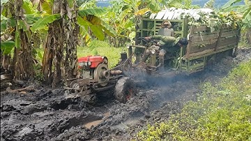 xe công nông câu đẩy chở chuối cực kỳ khỏe và cái kết