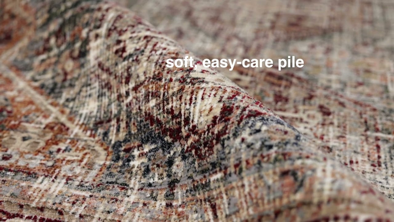 Vibe by Jaipur Living Zefira Zakaria Vintage / Overdyed Area Rugs