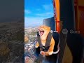 ねこ、絶叫ジェットコースター体験中www