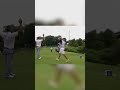 The BOINK and the HOLE IN ONE 🤣 #shorts