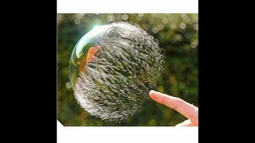 سورة الفاتحة بصوت القارئ أخيكم صالح .