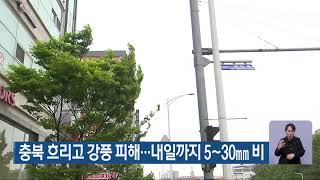[LIVE] KBS 충북 뉴스9 라이브ㅣ2024년 5월 11일 (토)  KBS청주