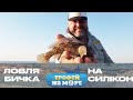 Рибалка на БИЧКА на Штучні Приманки | Трофей на Морі №44